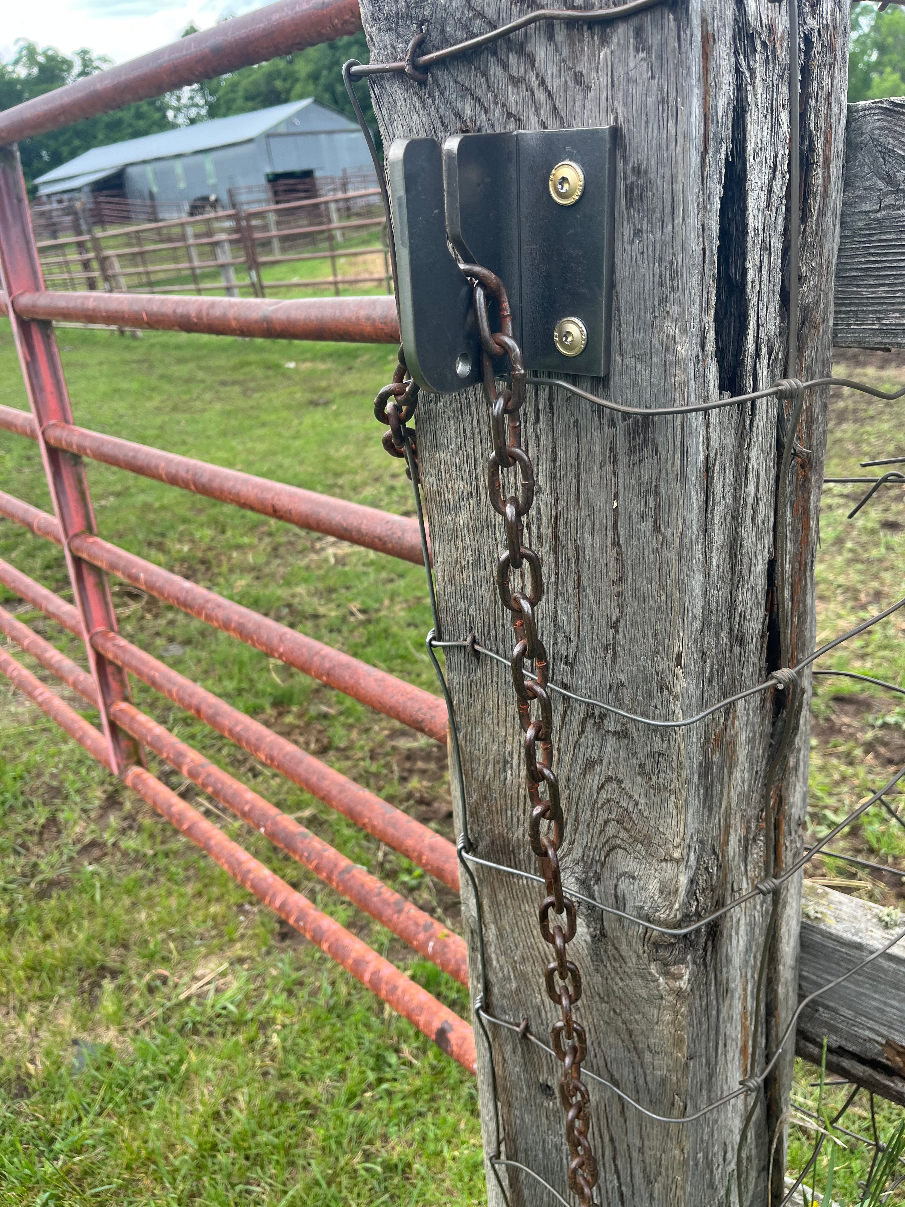 Top Notch Gate Chain Latch - Screw On Latch Only