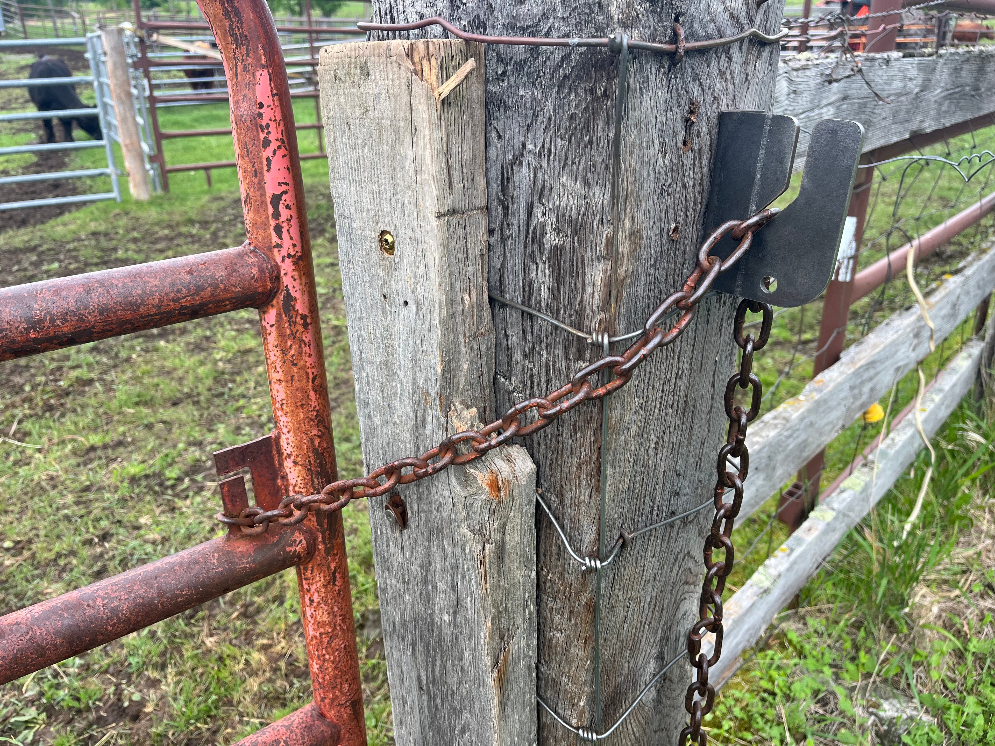 Top Notch Gate Chain Latch - Screw On Latch Only