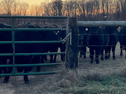 StultzFab Gate Chain Latch – Post Mount